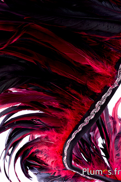 Hahnenfederkragen - Länge der Federn 25-32 cm - schwarz-karminrot